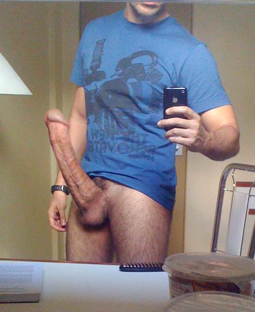 Image #2336